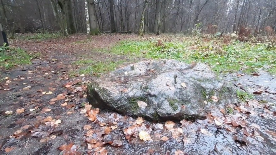 Miejsce Mocy. Puszcza Białowieska. Podlasie, jesień 2022