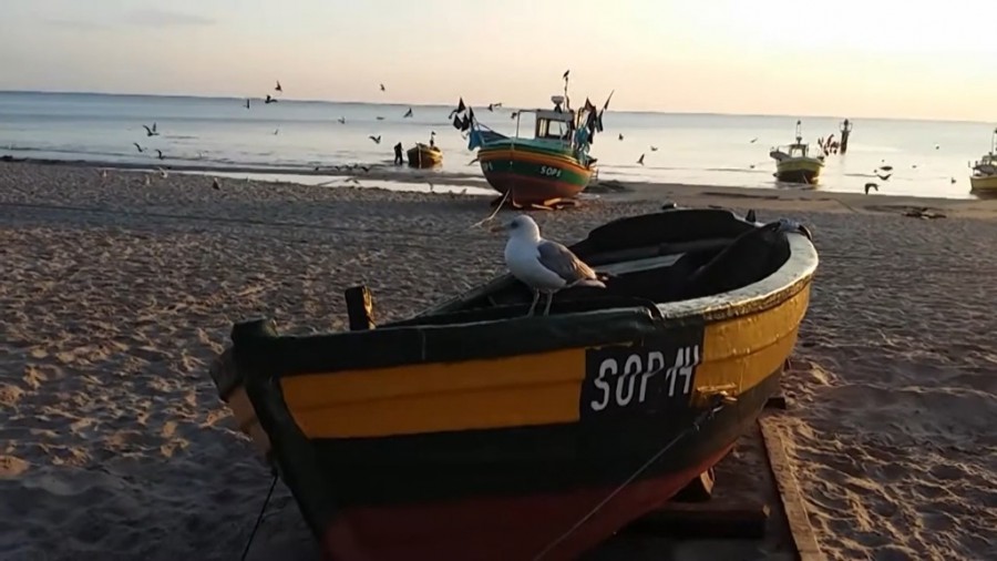 Poranek na plaży, Sopot, Kaszuby