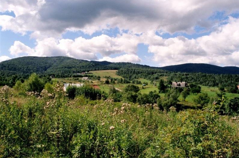 Najpierw wyrębywali, potem powstały Strzebowiska